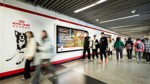 皇家“长寿犬猫陪伴故事”登上上海人民广场地铁站大屏