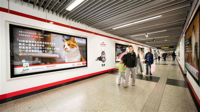 皇家“长寿犬猫陪伴故事”登上上海人民广场地铁站大屏