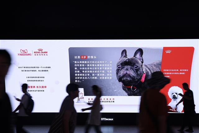 皇家携手天猫超级品牌日,在上海徐家汇地铁站打造人宠故事长廊