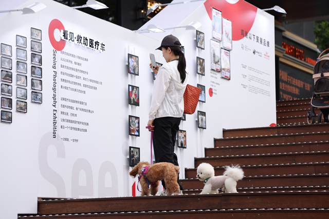公众驻足影展,“看见”皇家与动物们的点滴瞬间