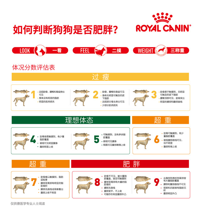 皇家的狗狗体况分数评估表