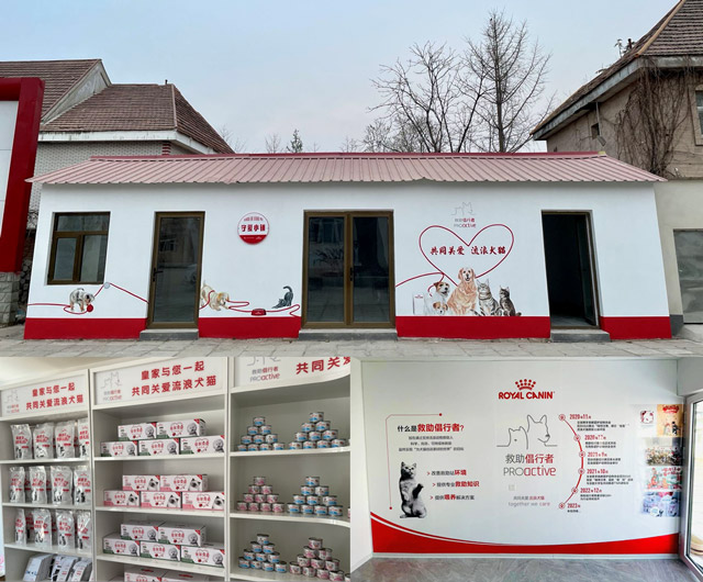 图说:皇家为领养中心打造的全国第一间“皇家小屋”
