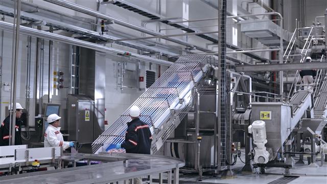 肉原料处理 全自动智能入料