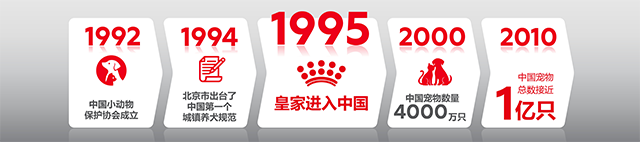 中国宠物经济的萌芽时代
