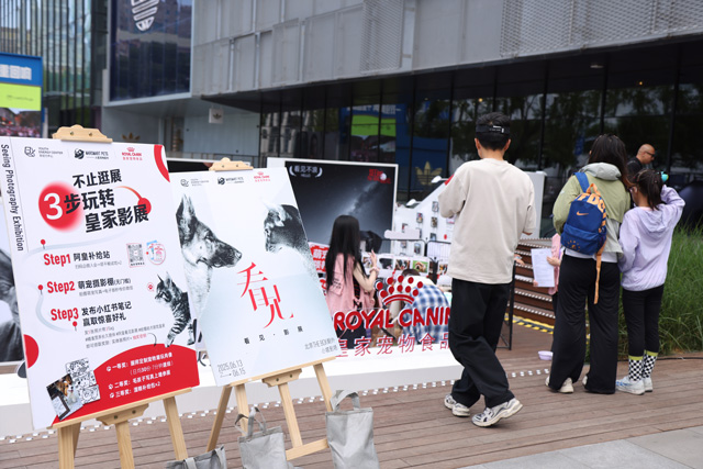 皇家协同多方发起“看见新生”公益领养项目,并举办“看见”影展