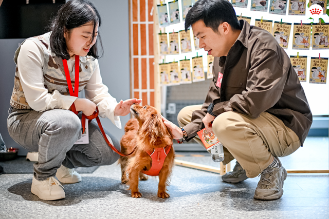 疗愈犬亮相“毛绒绒握爪计划”,帮助同事舒缓职场压力