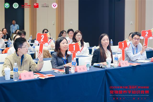 比赛现场照片