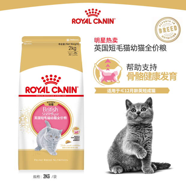产品一览 | 皇家宠物食品